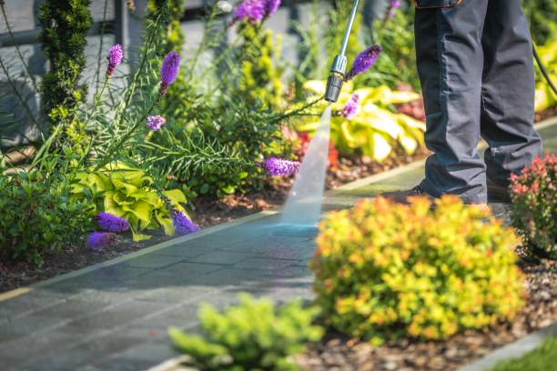 Best Patio and Deck Pressure Washing  in Lebanon, MO